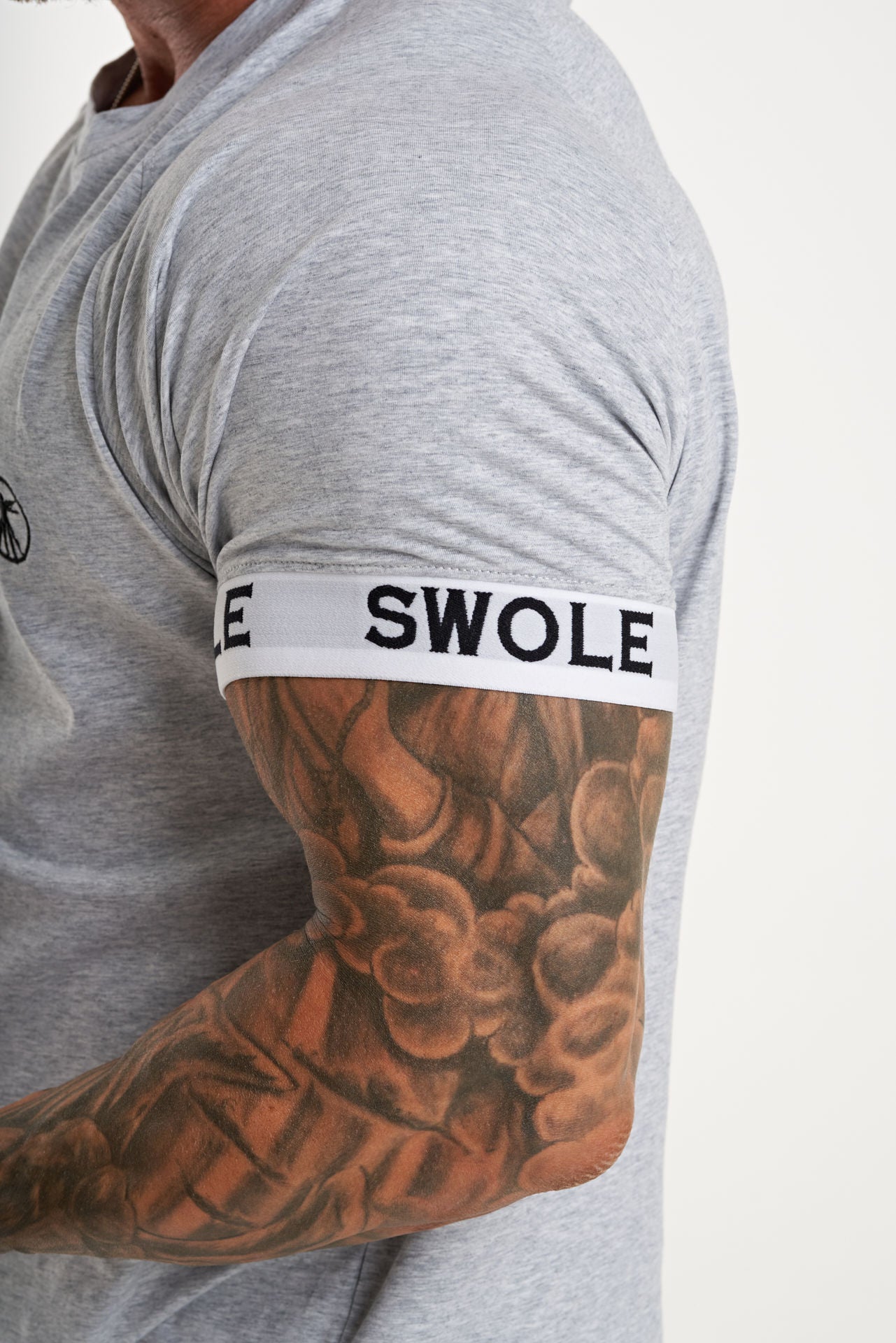 Swole Elastic Arm Raglan T-Shirt in Grey